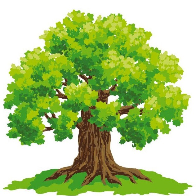 Drzewo genealogiczne
